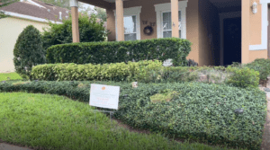 Sustainable Garden Maintenance Services